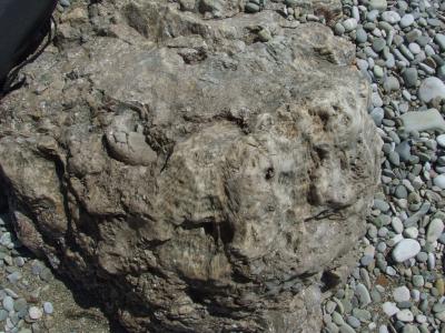 Прикрепленное изображение: 011-1.jpg